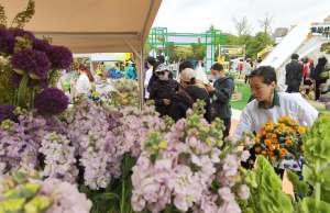 逛鲜花市集 享春日浪漫