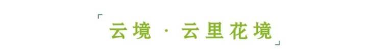 2023长沙最新热盘-绿城招商桂语云峯长沙桂语云峯售楼处地址,电话,位置