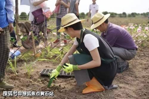 崇明岛大爱城价格多少