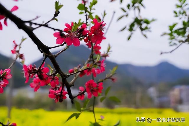 浅谈旅游的意义，您是不是这样认为的？