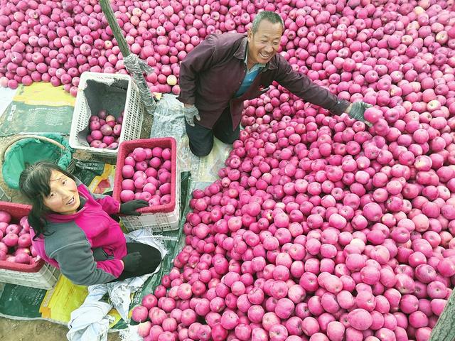 乡村旅游 这边风景正好