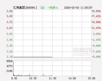 快讯：汇鸿集团跌停 报于3.19元