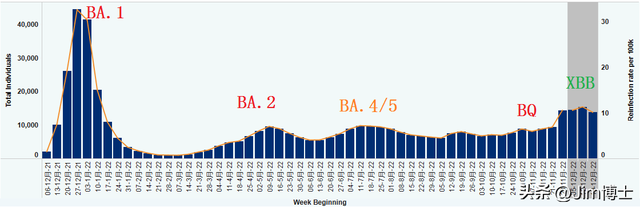 XBB毒株来袭：二次感染的概率多少？看看美国纽约州的统计数据