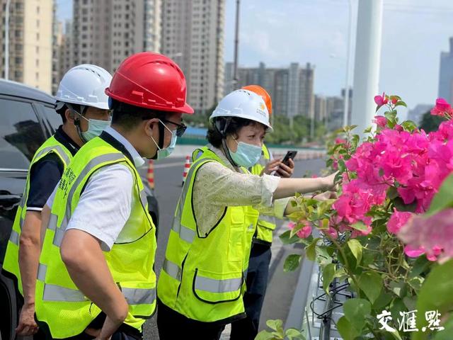 战高温 保工期 无锡市管内环高架花箱整体更新项目不停歇