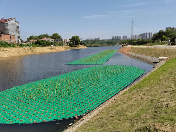 中国能建湖南火电深耕生态修复，造福岳阳市民