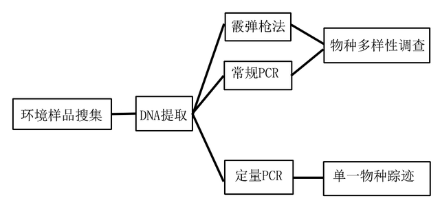 eDNA技术确认全球第四只斑鳖的存在！未来，在云南能发现第五只吗？