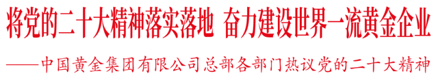 中国黄金集团总部各部门热议党的二十大精神