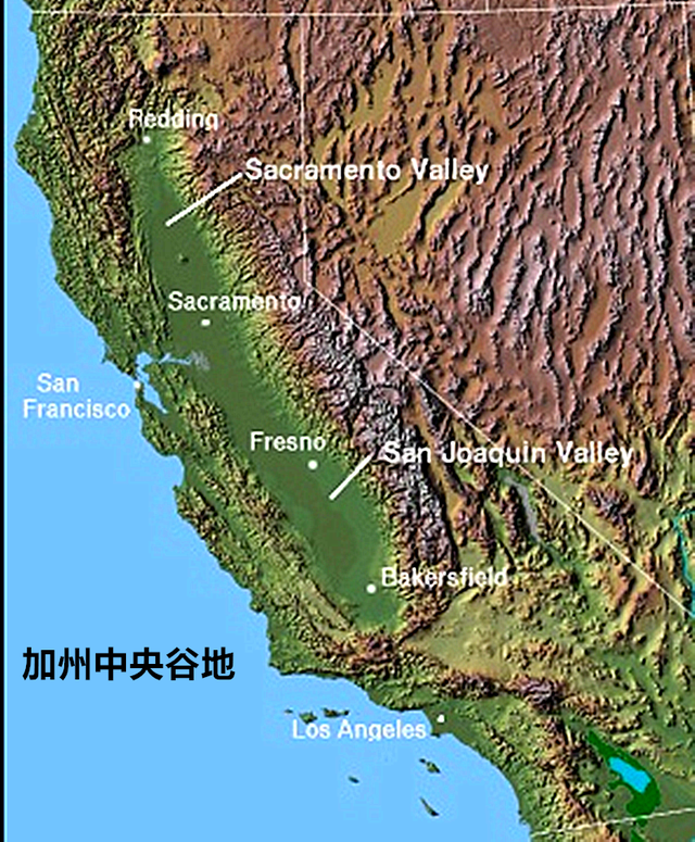 四分之一的美国人住在南端的加州、得州、佛州，美国人不耐冻？