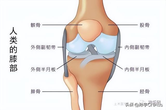 膝盖疼痛请尽早处理，严重了可能路都走不了