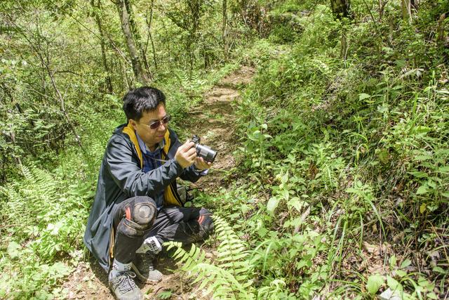 西南大学极小种群植物研究取得新成果