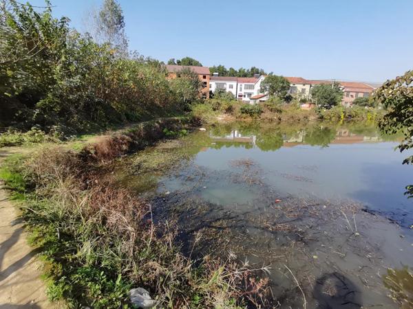 中国能建湖南火电深耕生态修复，造福岳阳市民