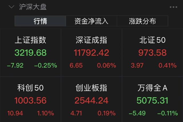 A股走势分化：沪指半日跌0.25%，半导体概念股走强