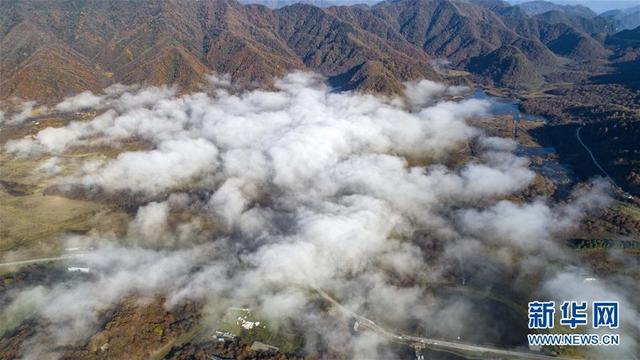 神农架大九湖风光