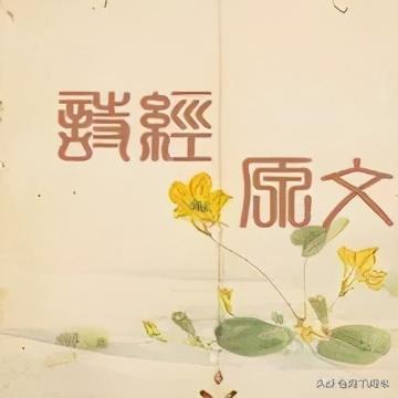 篇篇经典，翩翩《诗经》——237大雅·绵