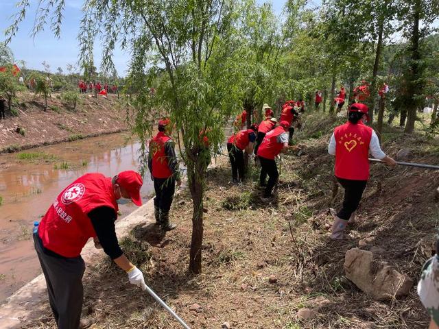 南华县：干群齐上阵，龙川江清水长流润菌乡