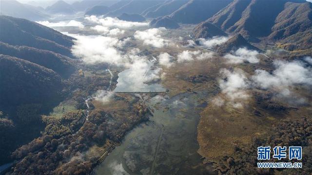 神农架大九湖风光