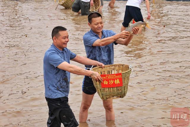 春分，四川最早播种水稻地区“开秧门”