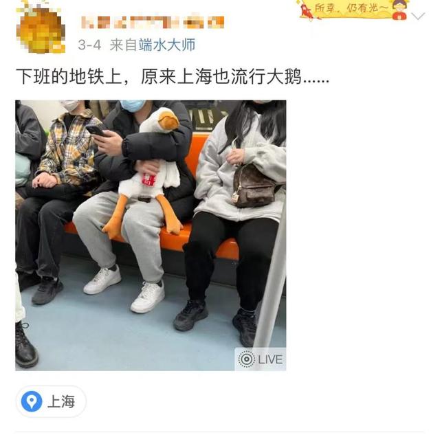 最近上海街头怎么那么多“鹅”？当心，有人已上当