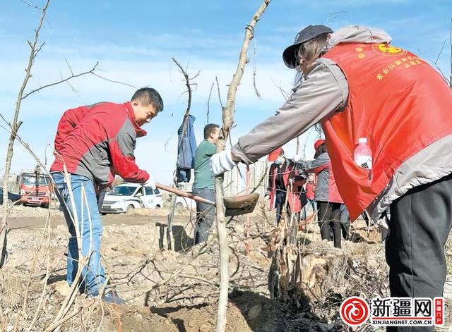 乌鲁木齐：植树添新绿 不负好时光