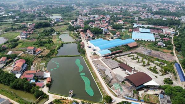 中国能建湖南火电深耕生态修复，造福岳阳市民