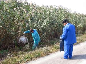 实验室实验(触目惊心美国生物实验乱象祸害全球)