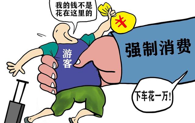 丽江导游卖掉房子跟游客斗争，一个月后事情反转：导游证保住了