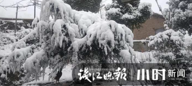 杭州这里下！雪！了！