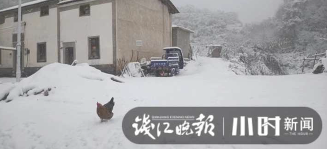 杭州这里下！雪！了！