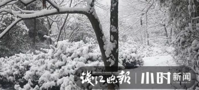 杭州这里下！雪！了！