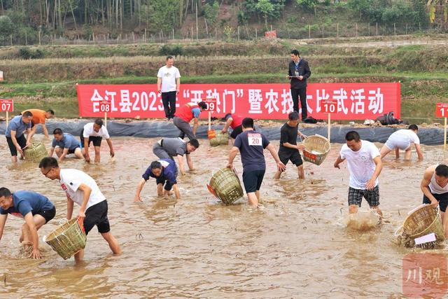 春分，四川最早播种水稻地区“开秧门”