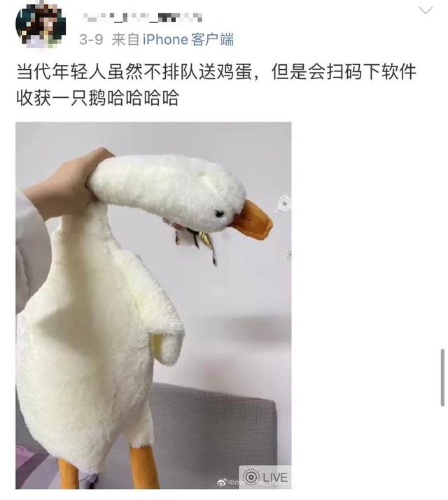 最近上海街头怎么那么多“鹅”？当心，有人已上当