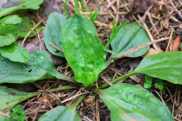 温暖气候加雨水滋润，在公园里做这件事的人多了起来，多部门赶紧提醒