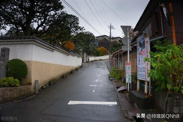 一地鸡毛李文竹（十七）