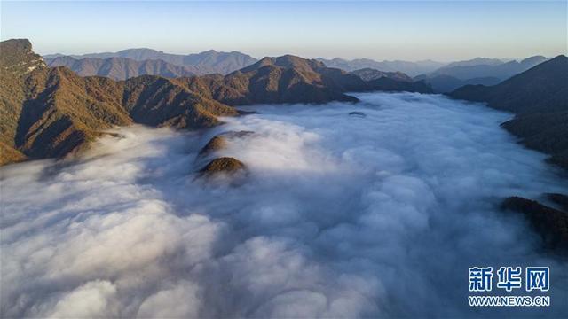 神农架大九湖风光