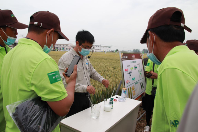 MAP助力，又是一年丰收时——中化农业MAP种植全程解决方案助力临颍小麦产业发展