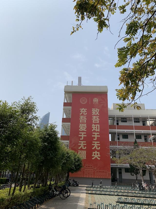 陆建德︱厦大的树