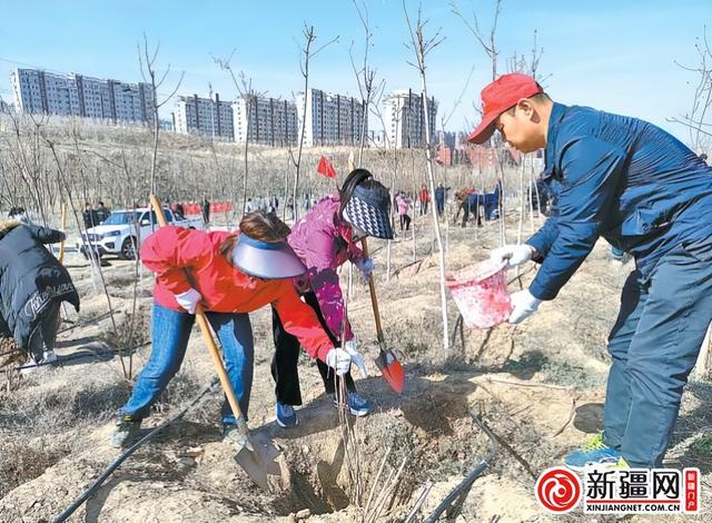 乌鲁木齐：植树添新绿 不负好时光