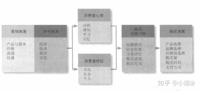 分析消费者市场