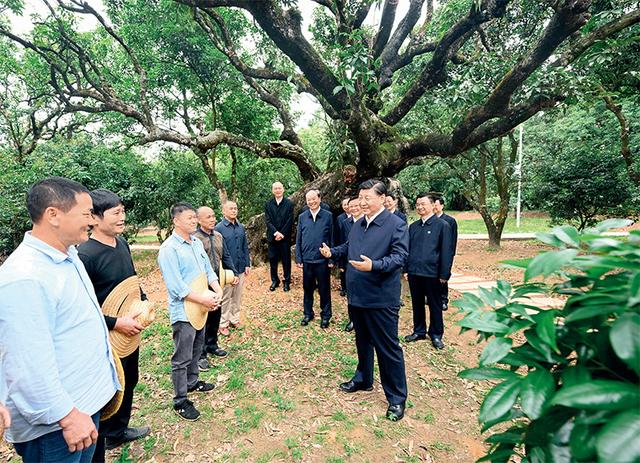 加快构建新发展格局 把握未来发展主动权