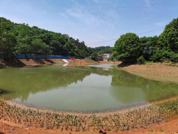 中国能建湖南火电深耕生态修复，造福岳阳市民