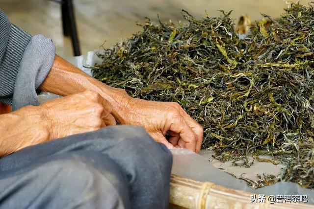 「干货分享」普洱茶初学者的品饮福利——普洱黄片