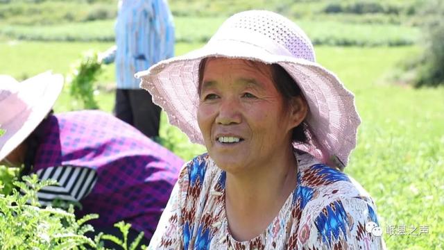 大山深处巾帼梦——杨菊芳，秦许乡的草根创业者