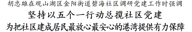 胡忠雄：坚持以五个一行动总揽社区党建 为把社区建成居民最放心最安心的港湾提供有力保障