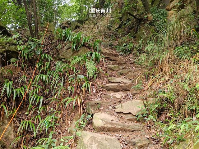 重庆南山登山入门攻略：清水溪步道