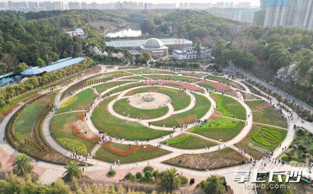 组图丨百花丛中赏春光！省植物园郁金香盛开