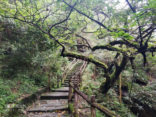 重庆南山登山入门攻略：清水溪步道