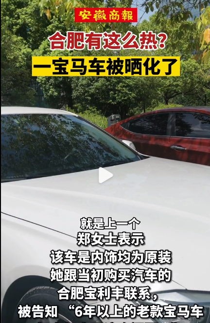 猪中暑、鹰中暑、汽车被晒化！今年热得有多离谱？高温排行榜42℃起