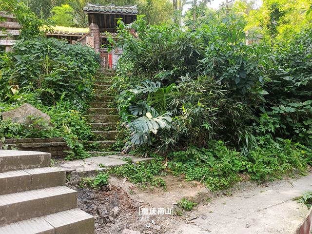 重庆南山登山入门攻略：清水溪步道