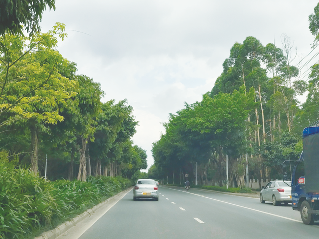 不要走错了！6月1日起，南宁市区只能在这18个路段练车→