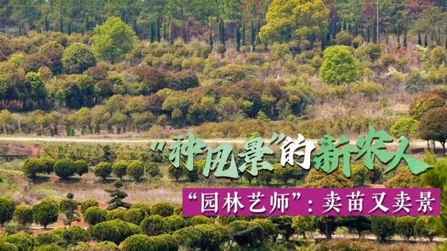 “种风景”的新农人｜“园林艺师”：卖苗又卖景